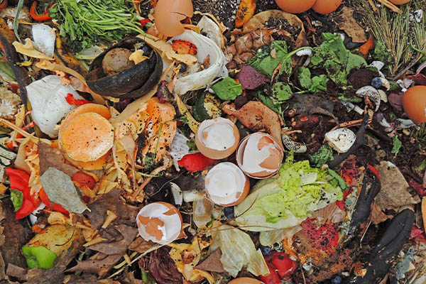 waste food image